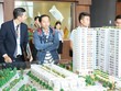 Giá bán tại một số dự án nhà ở Trang Chủ KL99Com Số 1 Link Đăng Ký KL999 tại TP.HCM đắt ngang với nhà ở thương mại