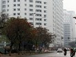 N01-D17 đang trong giai đoạn hoàn thiện và có dấu hiệu bị thổi giá