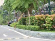 Không gian xanh tại EcoLife Capitol