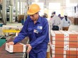 VHL lãi 30 tỷ đồng trong quý I