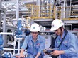 DCM: Quý I lãi gần 260 tỷ đồng