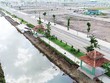 Phân khúc đất nền phía Nam đang trong cơn sốt. Ảnh: Gia Huy