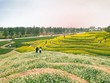 8 điểm chơi quanh Hà Nội dịp 30/4 cho người ngại đi xa