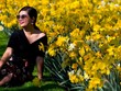 Vườn hoa tulip đẹp như tranh vẽ ở Hà Lan