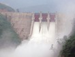 Năm 2018, SD9 đặt kế hoạch lãi 50 tỷ đồng