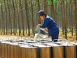 DPR ước đạt 53,1 tỷ đồng Kl99 nổ hũ trước thuế trong tháng 4