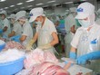 Quý II niên độ 2017-2018, HVG báo lỗ 272 tỷ đồng