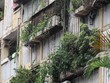 Hà Nội hiện có nhiều khu chung cư cũ đã xuống cấp nghiêm trọng