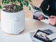 Bộ lọc không khí bằng sức mạnh thiên nhiên