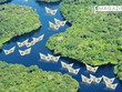 Nửa cuối năm, dò khẩu vị dòng tiền Kl99ok phiên bản mới trên thị trường địa ốc