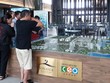Thuê Kl994 game bài casino hấp dẫn quản lý đã có thương hiệu quốc tế giúp tiết kiệm chi phí truyền thông, marketing trên toàn thế giới và nâng cao hiệu quả khai thác cho dự án.
