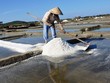 Phần diện tích của đồng muối Sa Huỳnh đang được nhà Kl99ok phiên bản mới lên phương án đền bù, giải tỏa để phân lô, bán nền.