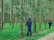 Ảnh Internet