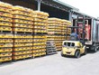 SCD: Ẩn số Thaibev trước thềm đại hội