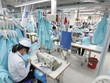 Nỗi lo tỷ giá đang đeo bám nhiều Kl991.com World Cup 2026 Chính Thức ngành dệt may.