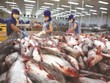 Hiệp định EVFTA khi có hiệu lực sẽ mở cánh cửa rộng lớn để Kl991.com World Cup 2026 Chính Thức hai bên phát huy tiềm năng hợp tác to lớn, trong đó, các ngành hàng xuất khẩu của Việt Nam có cơ hội gia tăng xuất khẩu mạnh mẽ vào EU.