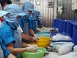 Hiệp định Thương mại tự do Việt Nam - EU (EVFTA): Mang lợi ích cho cả đôi bên