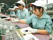 Kl994 nhà cái bóng đá world cup linh kiện tại nhà máy của Công ty Panasonic (Khu công nghiệp Thăng Long, Hà Nội). Ảnh: Đức Thanh