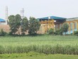 Ảnh Internet