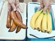 Tủ lạnh bảo quản rau củ không cần dùng điện hay nước đá