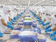Xuất khẩu nông sản Việt Nam đã có có thành tích ấn tượng năm 2018