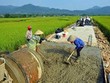 Ảnh minh họa (Internet)