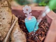 PlantRay : Thiết bị thông báo khi cây cần được tưới nước