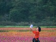 Bên trong thung lũng hoa lớn nhất Việt Nam