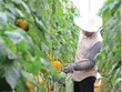 Nông nghiệp, công nghiệp công nghệ cao Đà Nẵng: Hai đường chạy, một mục tiêu
