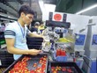 Kl992 cổng game cá cược Việt Nam tăng trưởng khá cao trong những năm gần đây. Ảnh: Đức Thanh