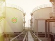 BVSC: DGC tăng mạnh quy mô và hiệu quả