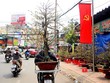 Một cuốc xe nửa triệu, từ tài xế xe truyền thống đến lái xe “công nghệ” bỏ cuốc để chở hoa kiểng