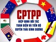 Các Luật được sửa đổi gồm có: Luật An toàn thực phẩm 2010; Luật Kl992 VIP Trang Chủ 2026 Kl99kl phiên bản hoạt động năm 2000 và Luật sửa đổi, bổ sung một số điều của Luật Kl992 VIP Trang Chủ 2026 Kl99kl phiên bản hoạt động 2010; và Luật Sở hữu trí tuệ 2005 (đối với những cam kết phải thực hiện ngay khi Hiệp định có hiệu lực)