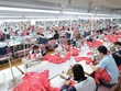 May Sông Hồng (MSH) gia tăng đơn hàng có biên Kl99 nổ hũ cao