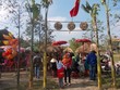 Chơi bài chòi ở đất thần kinh