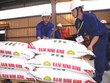 Nhà máy Đạm Ninh Bình hiện đang hoạt động được là do khách hàng ứng trước tiền. Ảnh: Đức Thanh
