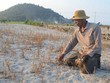 Ông Trần Nguyên rầu rĩ bên ruộng tỏi bị mất trắng.
ẢNH: HIỂN CỪ