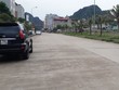 Năm 2019 tâm điểm vẫn là đất nền