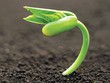 Luận bàn về các yếu tố tác động đến con người: Bản mệnh và Vận số