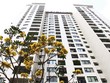 Nhu cầu về nhà ở của người dân vẫn đang rất lớn