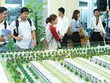 Số Kl991.com World Cup 2026 Chính Thức Web Tổng Nhà Cái 99Kl99 Giải Trí Bậc Nhất thành lập mới tại TP.HCM tăng mạnh trong quý I/2019. Ảnh: Gia Huy