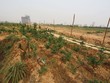 Việc xác định giá bồi thường là một trong những khúc mắc lớn nhất trong công tác giải phóng mặt bằng cho các dự án. Ảnh: Dũng Minh