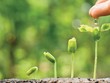 Ảnh: shutterstock