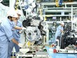 Cháy bỏng khát vọng thịnh vượng