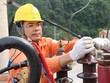 EVN NPC: Sản lượng điện thương phẩm tháng 4/2019 đạt 5,7 tỷ kWh, tăng 11,50%