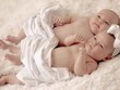 Sinh cùng “năm  tháng ngày giờ” vận, mệnh cuộc đời có giống?