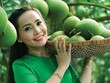 Nông nghiệp công nghệ cao có sức hút với nhiều Kl991.com World Cup 2026 Chính Thức Web Tổng Nhà Cái 99Kl99 Giải Trí Bậc Nhất trên con đường hướng tới Kl99ok phiên bản mới đa ngành. Ảnh: Lê Toàn