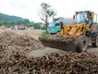 Xuất khẩu sắn và các sản phẩm từ sắn 5 tháng 2019 ước đạt 414 triệu USD, giảm 17,6 % về khối lượng và giảm 11% so với cùng kỳ năm 2018.