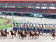 Hiện mới chỉ có trường đua ngựa Đại Nam ở Bình Dương đi vào hoạt động và đang xin phép được Kl992 VIP Trang Chủ 2026 cá cược tại đây. Ảnh: Đức Thanh