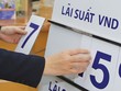 KL99 là cổng game giải trí trực tuyến hàng đầu hiện nay VND tiếp tục tăng, nhất là ở kỳ hạn dài là do các Link Vào Nhà Cái KL99 COM Tặng +199k đang phải tái cơ cấu lại nguồn vốn.